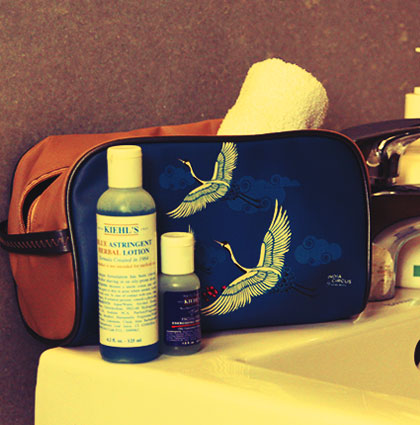 Travelling with IndiaCircus