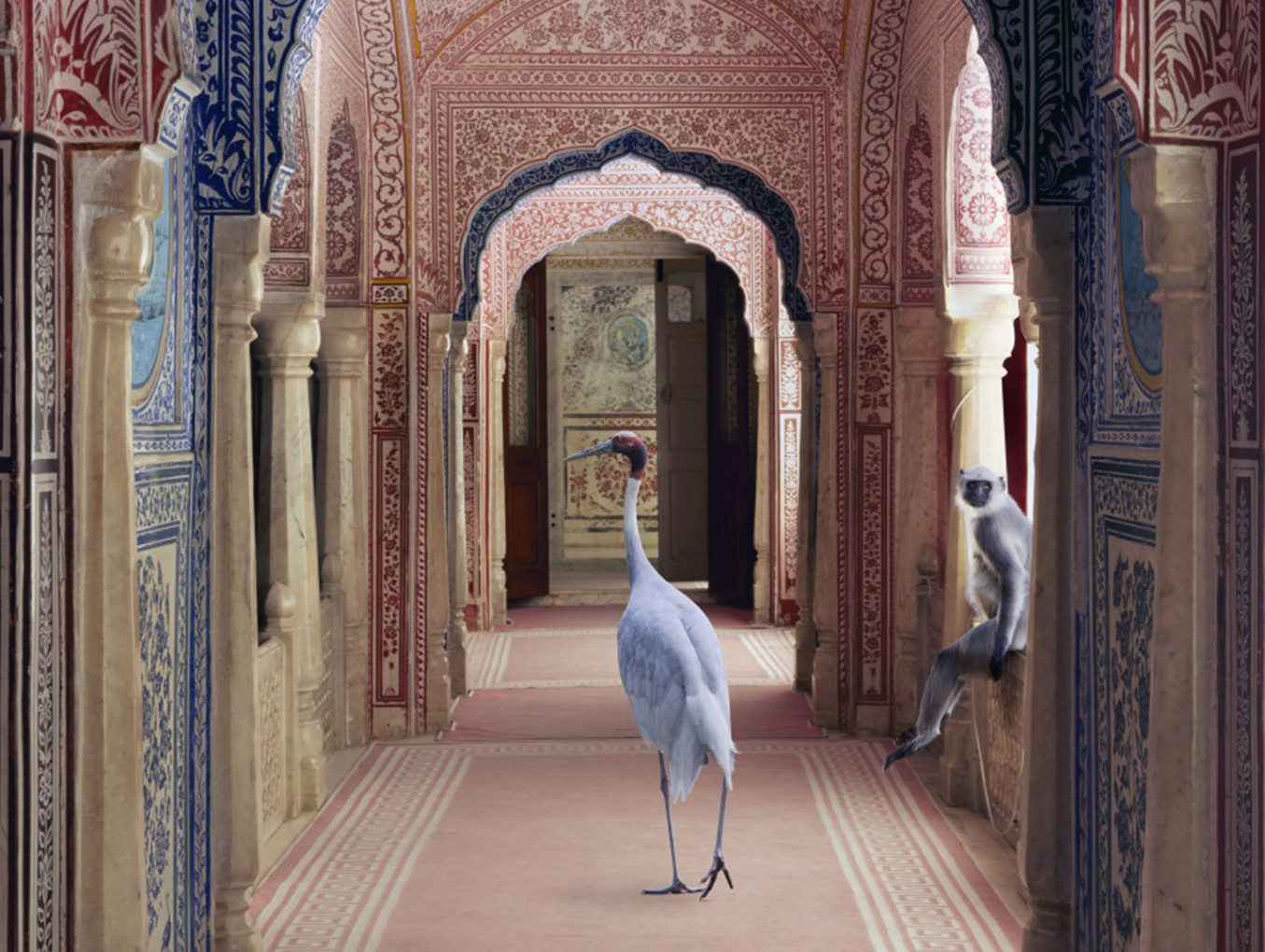 17 Stunning Photographs by Karen Knorr which Give an Ode to India